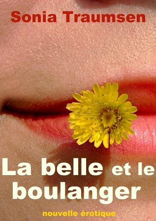 lecture ebook Feu au train